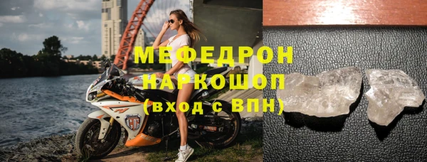 прущие грибы Белая Холуница