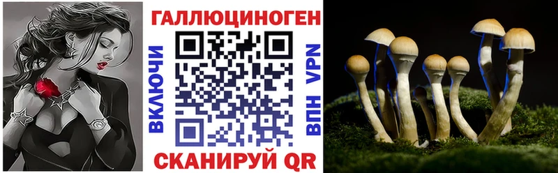 купить закладку  Артёмовск  Псилоцибиновые грибы мухоморы 